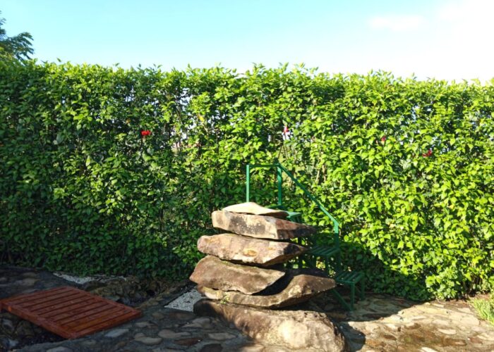 jardin zen3